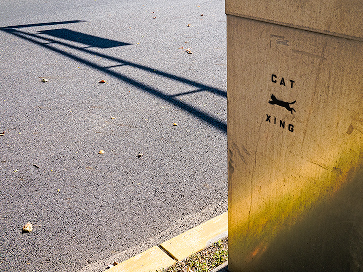 10/14/13