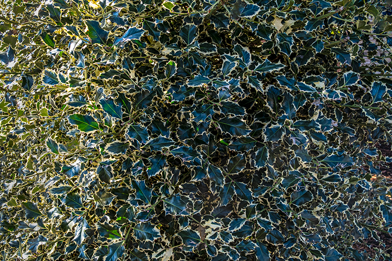 12/18/22