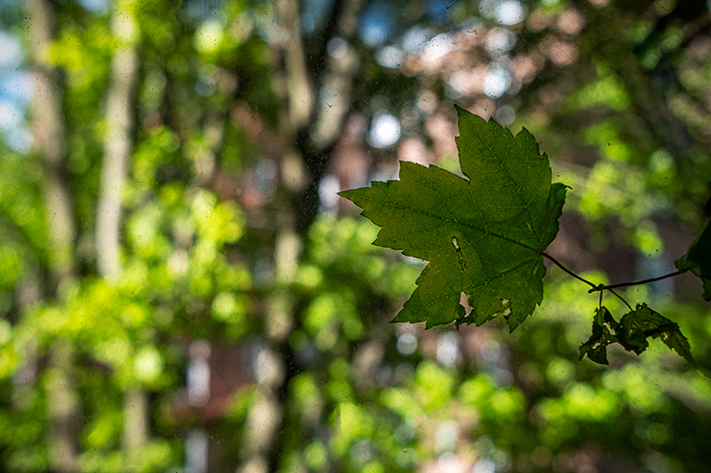 5/2/23